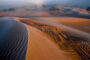 Dune sous le givre